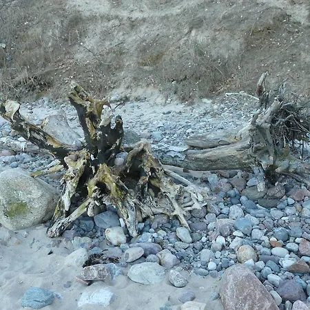 Appartement Auf Ruegen Sagard