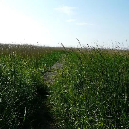 Appartement Auf Ruegen Sagard