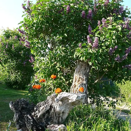 Auf Ruegen Appartement *