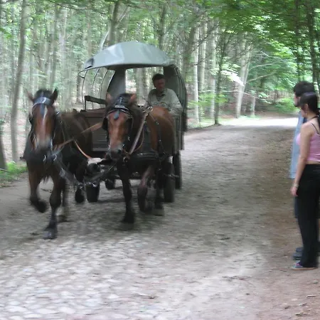 Appartement Auf Ruegen Sagard