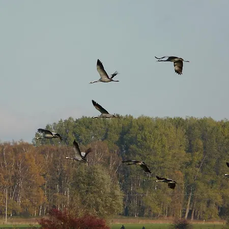 Auf Ruegen Appartement *