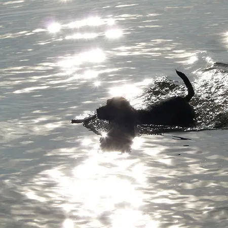 Appartement Auf Ruegen