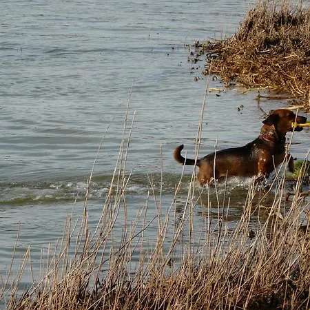Appartement Auf Ruegen *