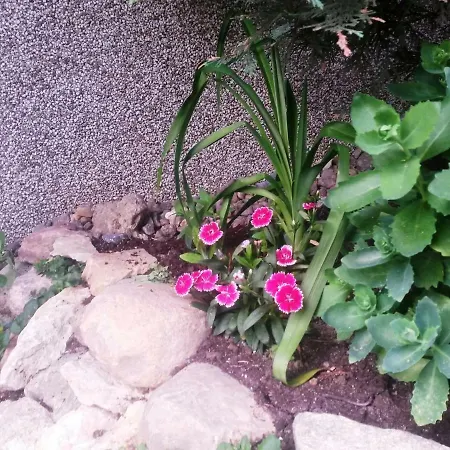 Appartement Auf Ruegen