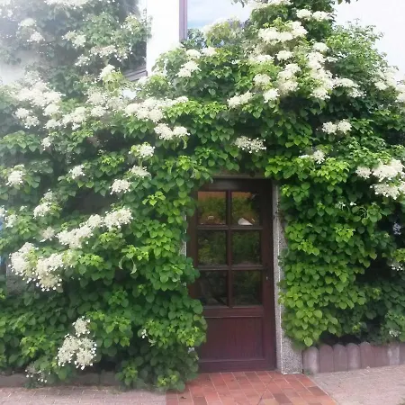 Appartement Auf Ruegen Sagard